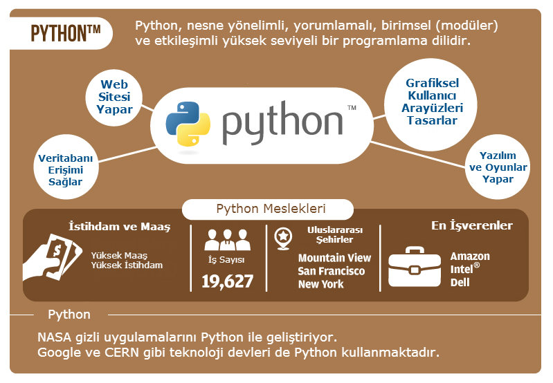 Python Programlama Dili Nedir? | MyEduco ile Sıfırdan Python Öğrenin 2 %filename MyEduco